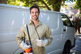 Best Termite Inspection and Treatment  in Commack, NY